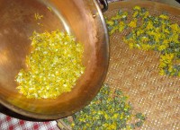 /album/galerie-photos/mielpissenlit-5-jpg/